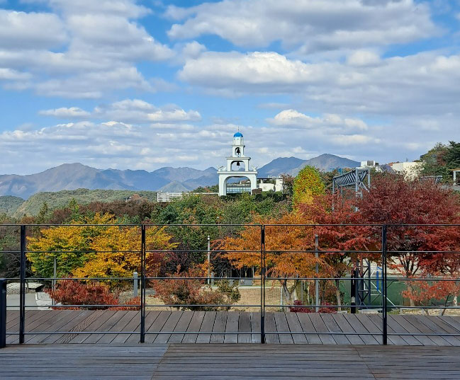 조직인재개발솔루션 심오피스 네이버